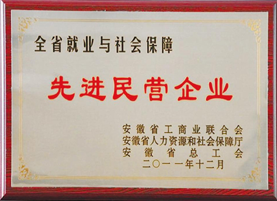 先 進(jìn)民營企業(yè)